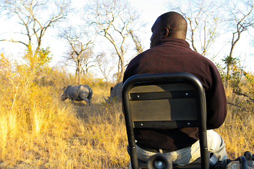 Sabi Sabi, South Africa - July 4, 2012: Safari Guides tracking animals in a wildlife reserve