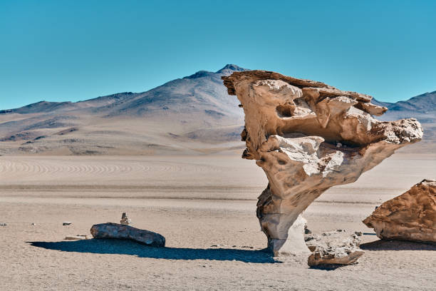istock Laguna colorada in Bolivia 1283677592