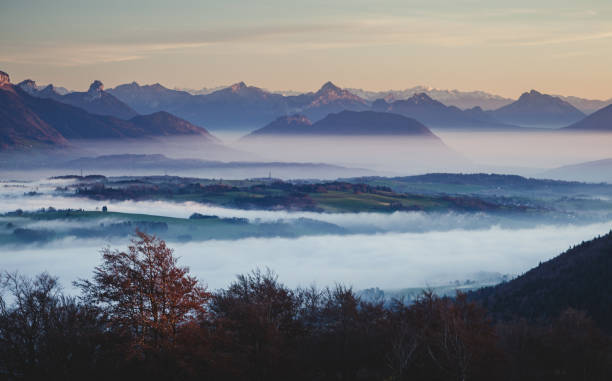 A blanket of fog in autumn on the Gahberg am Attersee with evening sun and backlight, Upper Austria, Austria, Europe