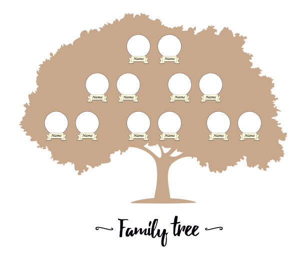 10+ 3 Generation Family Tree Template Pictures Stock Illustrations, Royalty- Free Vector Graphics & Clip Art - iStock 10-3-generation-family-tree-template-pictures-stock-illustrations-royalty-free-vector-graphics-clip-art-istock