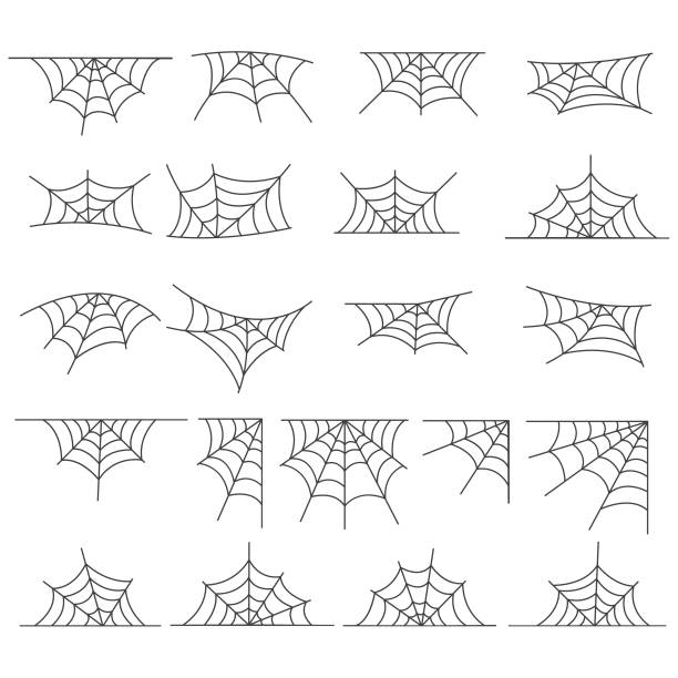 spider-web-symbol-set - spinnennetz stock-grafiken, -clipart, -cartoons und -symbole