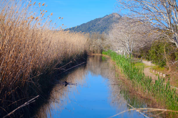 Parc Natural De S'Albufera de Mallorca