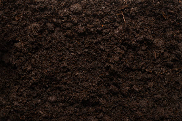 istock Black land for plant background. 1283685989