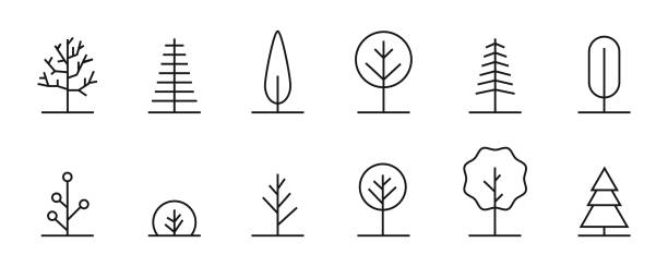 bäume lineare symbole. vektor-dünnstrich-baumsammlung. - arbol stock-grafiken, -clipart, -cartoons und -symbole