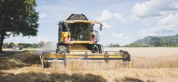 Wheat harvest during summer 2020, Geneva canton, Switzerland