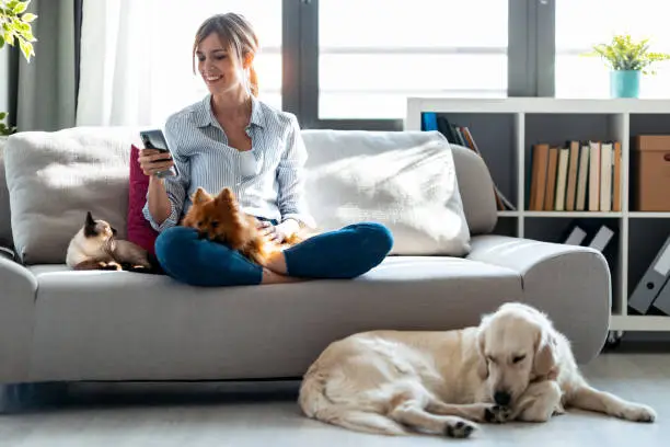 Shot of attractive young woman using mobile phone while sitting in couch with her dogs and cat in living room at home.