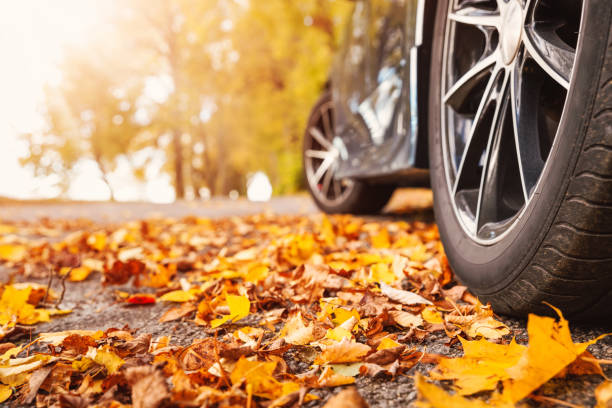 Car on asphalt road on autumnr day at park