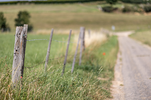 Small wooden pole with barbed wire forming a fence between green grass in agricultural land next to a rural dirt road with a blurred background