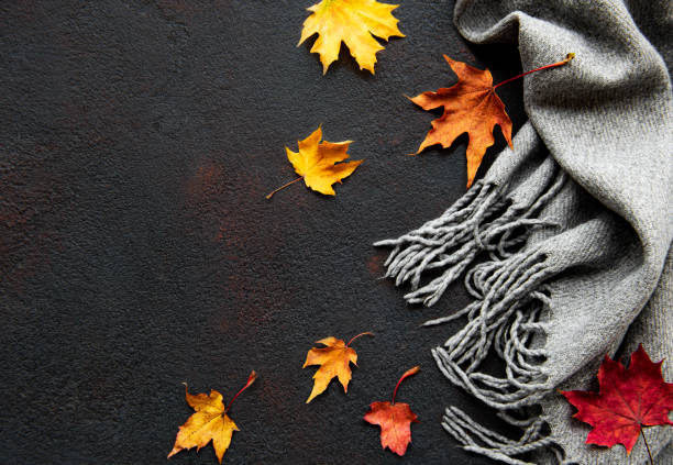istock Autumn maple leaves and woolen scarf on a black concrete background. 1283695557