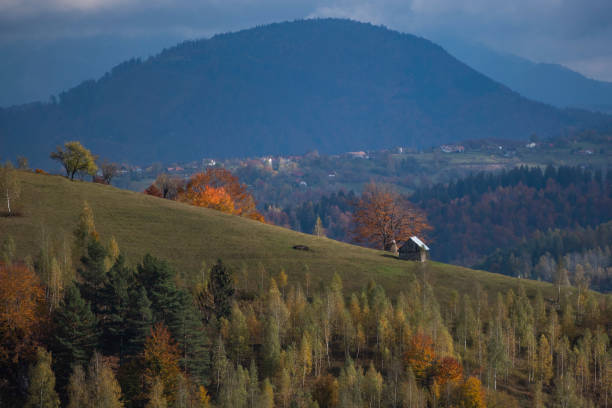 istock Autumn landscape in Pestera county, Romania 1283696161