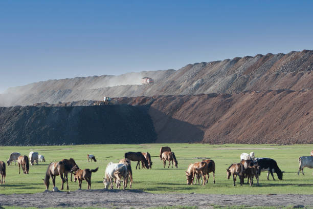 内モンゴルで放牧する馬 - inner mongolia ストックフォトと画像