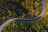 Aerial top view of curvy mountain road goingthroughthe pine forest.