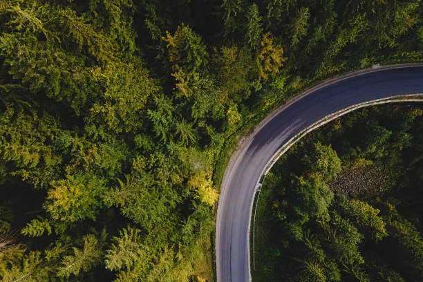 istock Aerial top view of curvy mountain road going through the pine forest. 1283696477
