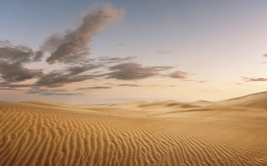 Empty desert at the sunset, nature background with copy space