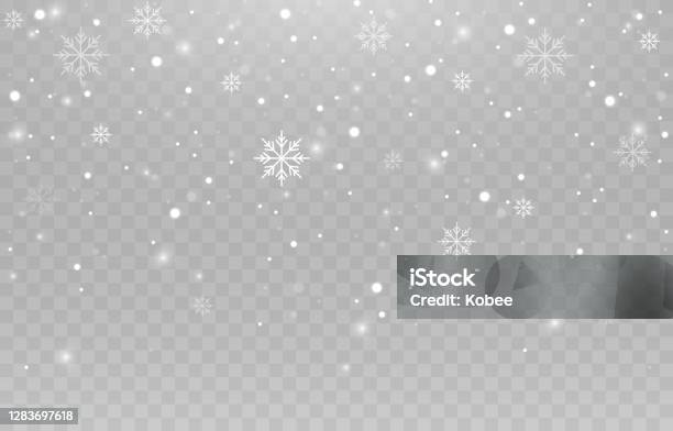 Flocons De Neige Vectoriels Chutes De Neige Neige Flocons De Neige Sur Un Fond Isolé Neige Png Tempête De Neige Neige De Noël Image Vectorielle Vecteurs libres de droits et plus d'images vectorielles de Flocon de neige - Neige