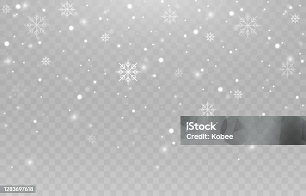 Vector Snowflakes Snowfall Snow Snowflakes On An Isolated Background Snow Storm Christmas Snow Vector Image Stock Illustration - Download Image Now