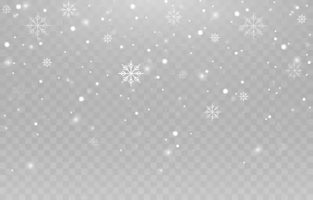 Vector illustration of Vector snowflakes. Snowfall, snow. Snowflakes on an isolated background. Snow storm, Christmas snow. Vector image.