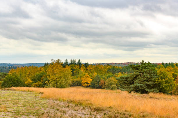 istock View over the Loenermark in the Veluwe nature reserve during fall 1283697736