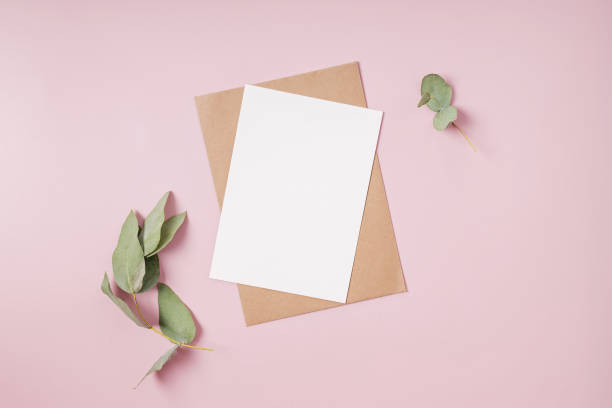istock Blank paper and eucalyptus branch on pink background. 1283699063