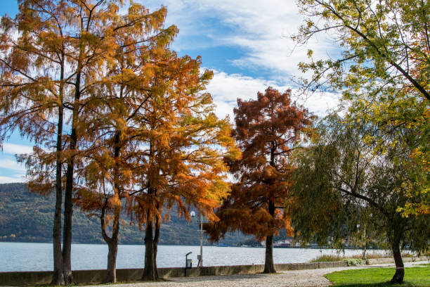 Autumn in public parks