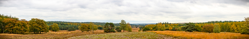 Panoramic view over moors at the Loenermark in the Veluwe nature reserve during fall in Gelderland, The Netherlands.