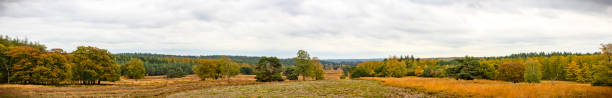 Photo of Panoramic view over the Loenermark in the Veluwe nature reserve during fall