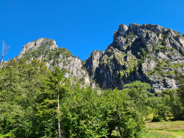 istock Austria, National Park Kalkalpen 1283702602