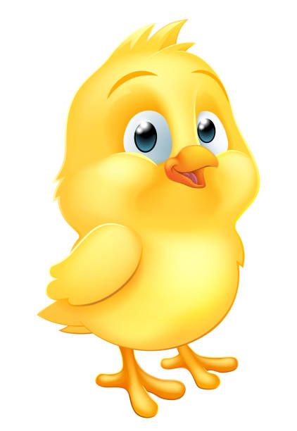 illustrazioni stock, clip art, cartoni animati e icone di tendenza di cartone animato easter chick little baby chicken bird - newborn animal illustrations