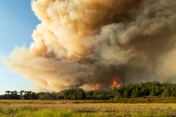 istock Wildfire in California 1283704744