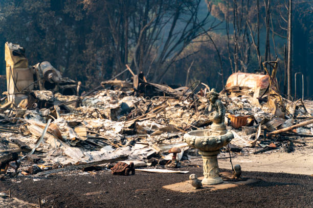 istock Burned homes in California 1283704756