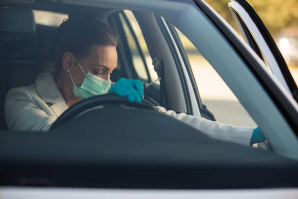 istock Exiting the cat in protective gloves and face mask 1283704979