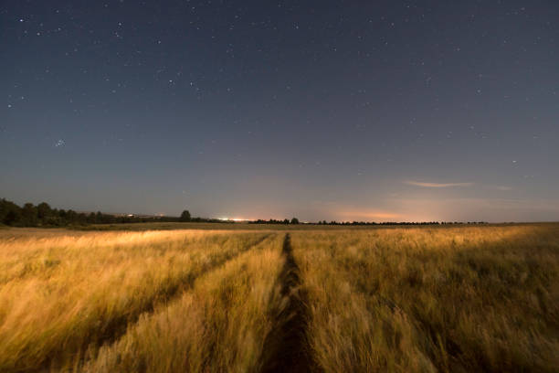 istock Ranch in Wyoming at Night 1283705726