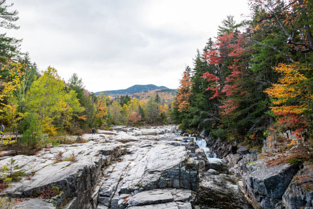 istock fall foliage in White Mountain Forest New Hampshire 1283705981