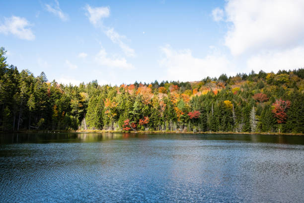 istock fall foliage in White Mountain Forest New Hampshire 1283705992