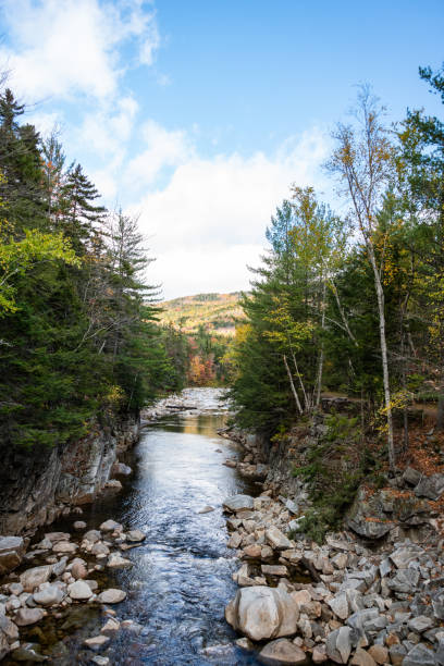 istock fall foliage in White Mountain Forest New Hampshire 1283706437