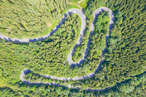istock Above view of curvy road in green forest 1283707202