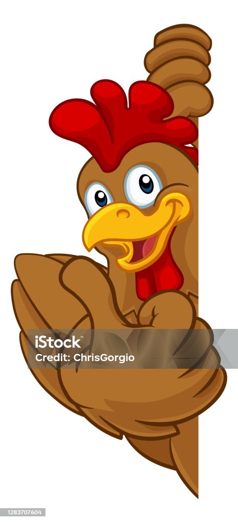 Chicken Rooster Cockerel Bird Cartoon Character Stock Illustration -  Download Image Now - Mascot, Pointing, Animal - iStock