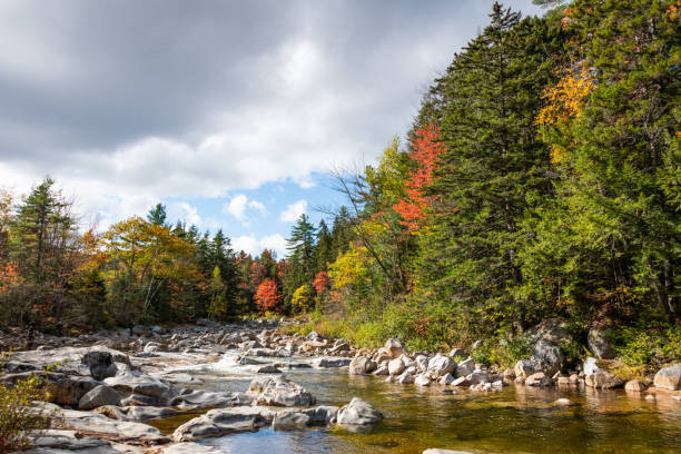 istock fall foliage in White Mountain Forest New Hampshire 1283708521