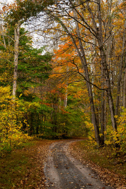 istock Autumn Along the Back Roads 1283708605