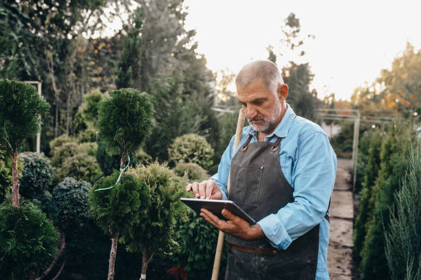 istock middle aged man working in evergreen plant nursery 1283710271