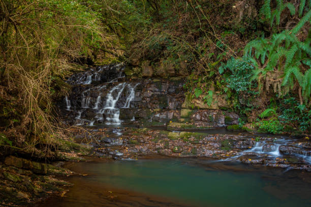 istock waterfall with still water and flowing stream cover with green forest long exposure flat angle 1283710286