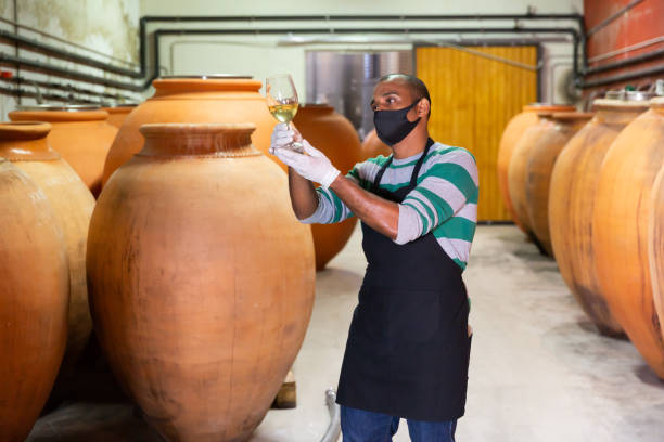 Positive male worker in apron and face mask examining wine in glass at winery