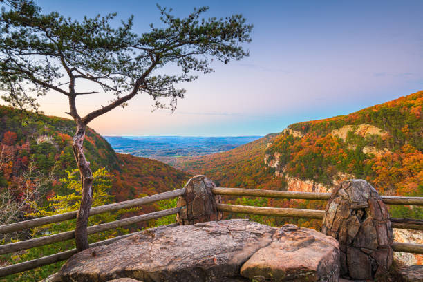 istock Cloudland Canyon, Georgia, USA 1283711788