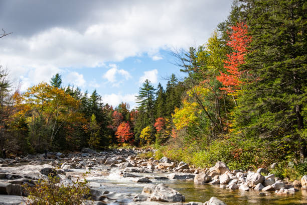 istock fall foliage in White Mountain Forest New Hampshire 1283711816