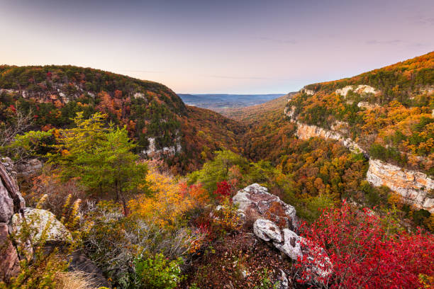 istock Cloudland Canyon, Georgia, USA 1283711859