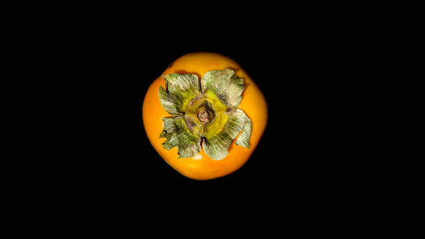 istock Top view of a single Persimmon fruit with black background. 1283712989