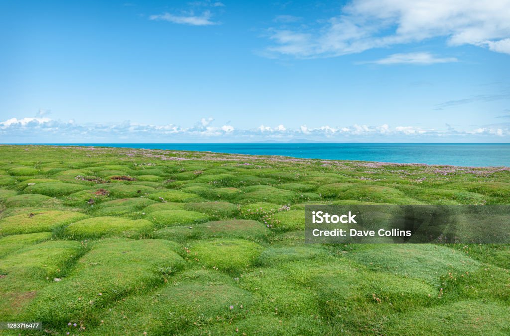 Grass Mounds, Downpatrick Head, Co Mayo, Ireland Blue Stock Photo