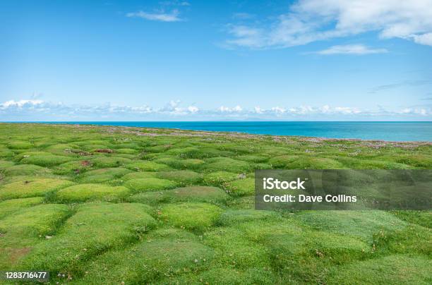 Grass Mounds Downpatrick Head Co Mayo Ireland Stock Photo - Download Image Now - Blue, Color Image, Copy Space