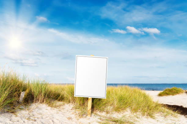 istock signpost with copy space on wide sandy beach against sea and blue sky 1283716769