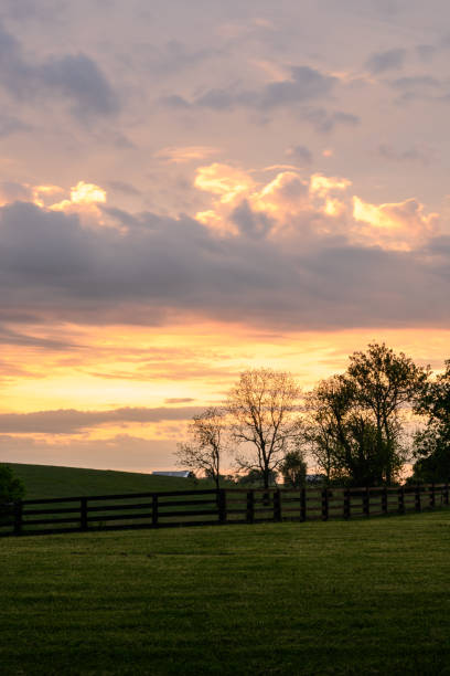istock Sun Rises Over Horse Farm 1283717113